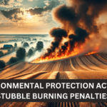 Environmental Protection Act and Stubble Burning Penalties